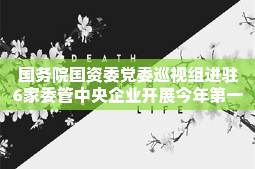 国务院国资委党委巡视组进驻6家委管中央企业开展今年第一轮巡视