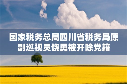 国家税务总局四川省税务局原副巡视员饶勇被开除党籍