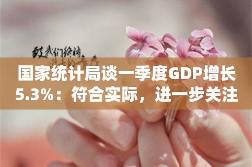 国家统计局谈一季度GDP增长5.3%：符合实际，进一步关注经济发展不平衡性