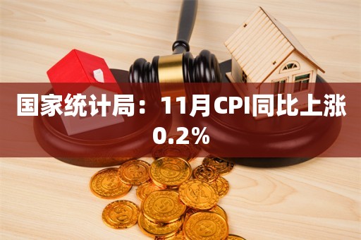 国家统计局：11月CPI同比上涨0.2%