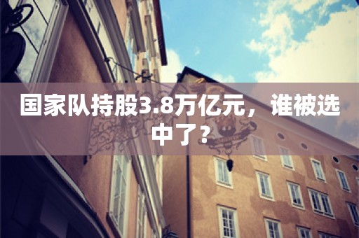 国家队持股3.8万亿元，谁被选中了？