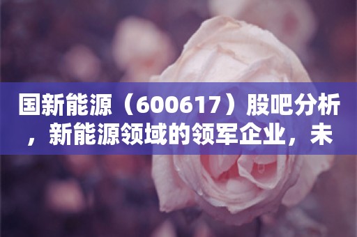 国新能源（600617）股吧分析，新能源领域的领军企业，未来可期