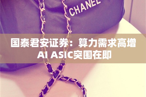 国泰君安证券：算力需求高增 AI ASIC突围在即