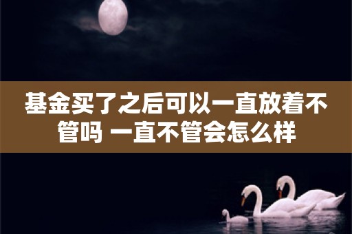 基金买了之后可以一直放着不管吗 一直不管会怎么样