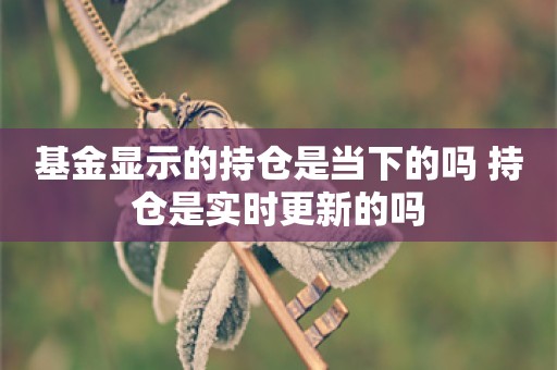 基金显示的持仓是当下的吗 持仓是实时更新的吗