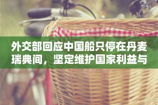 外交部回应中国船只停在丹麦瑞典间，坚定维护国家利益与地区和平稳定