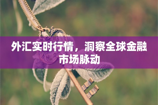 外汇实时行情，洞察全球金融市场脉动