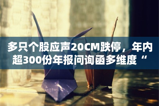 多只个股应声20CM跌停，年内超300份年报问询函多维度“拷问”上市公司