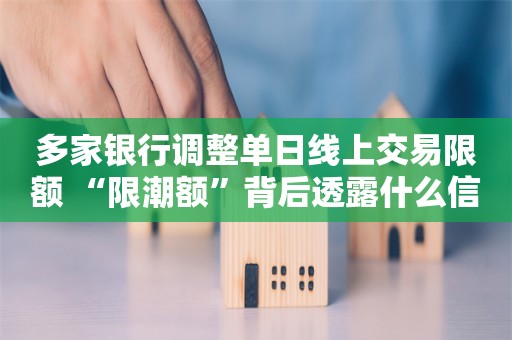 多家银行调整单日线上交易限额 “限潮额”背后透露什么信号？