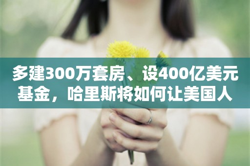 多建300万套房、设400亿美元基金，哈里斯将如何让美国人“有房住”？