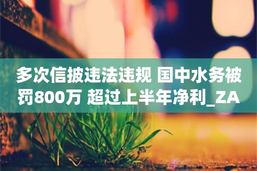 多次信披违法违规 国中水务被罚800万 超过上半年净利_ZAKER新闻