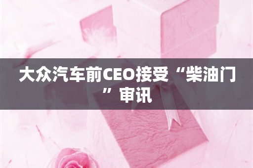 大众汽车前CEO接受“柴油门”审讯