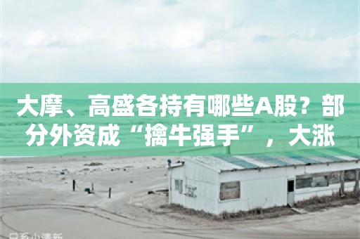 大摩、高盛各持有哪些A股？部分外资成“擒牛强手”，大涨前已埋伏其中