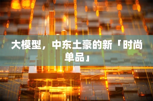 大模型，中东土豪的新「时尚单品」