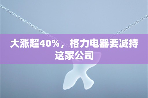 大涨超40%，格力电器要减持这家公司