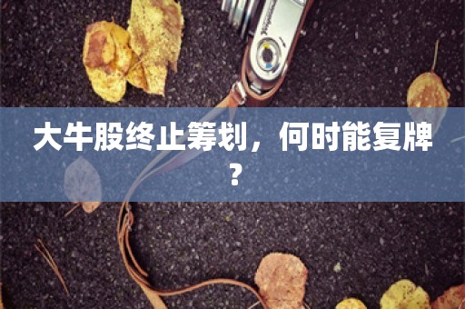 大牛股终止筹划，何时能复牌？