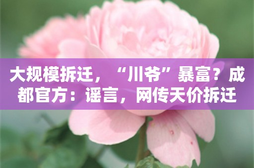 大规模拆迁，“川爷”暴富？成都官方：谣言，网传天价拆迁款不实