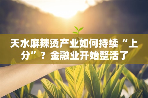 天水麻辣烫产业如何持续“上分”？金融业开始整活了