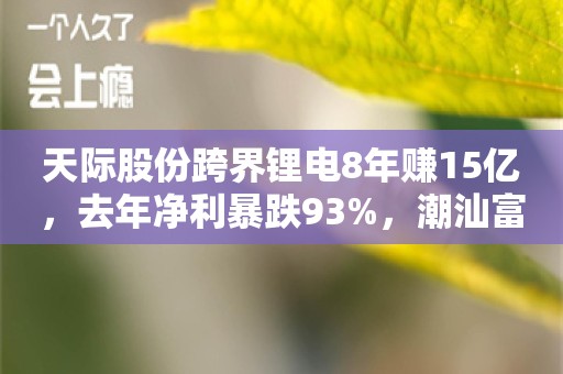 天际股份跨界锂电8年赚15亿，去年净利暴跌93%，潮汕富豪再赌周期胜算几何