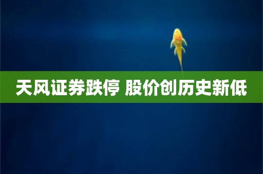 天风证券跌停 股价创历史新低