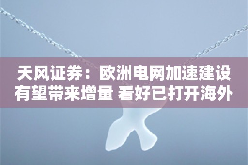 天风证券：欧洲电网加速建设有望带来增量 看好已打开海外市场相关标的