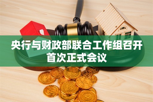 央行与财政部联合工作组召开首次正式会议