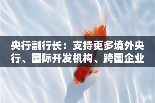 央行副行长：支持更多境外央行、国际开发机构、跨国企业集团等在境内发行熊猫债