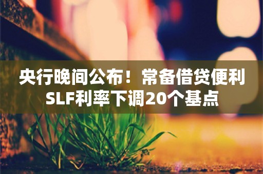 央行晚间公布！常备借贷便利SLF利率下调20个基点