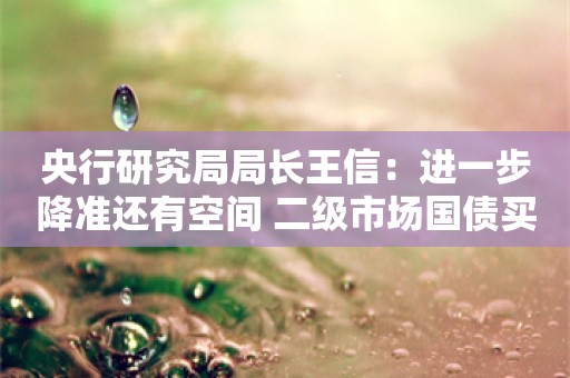 央行研究局局长王信：进一步降准还有空间 二级市场国债买卖探索更趋成熟