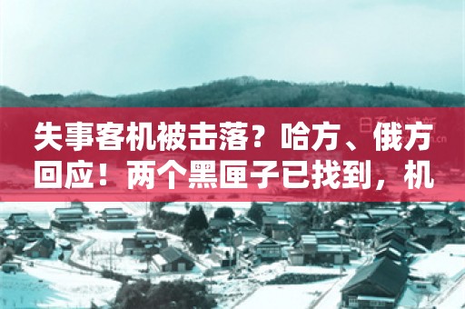 失事客机被击落？哈方、俄方回应！两个黑匣子已找到，机尾孔洞如何形成？幸存者回忆……专业飞行员：最后时刻机组在全力抢救飞机