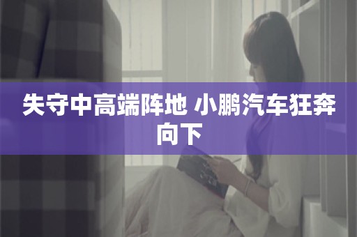 失守中高端阵地 小鹏汽车狂奔向下