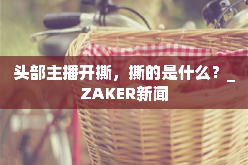 头部主播开撕，撕的是什么？_ZAKER新闻