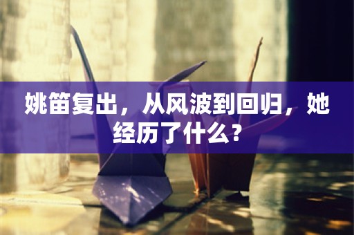 姚笛复出，从风波到回归，她经历了什么？