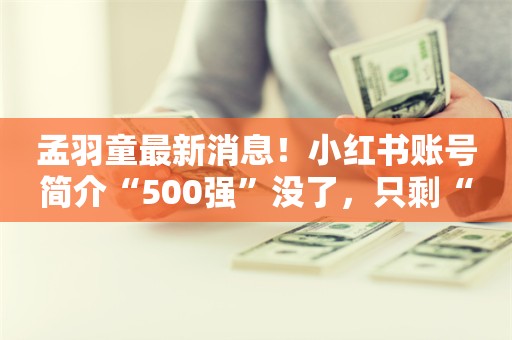 孟羽童最新消息！小红书账号简介“500强”没了，只剩“前董事长秘书”