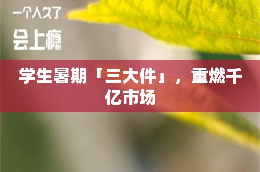 学生暑期「三大件」，重燃千亿市场