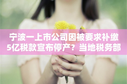 宁波一上市公司因被要求补缴5亿税款宣布停产？当地税务部门回应