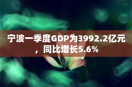 宁波一季度GDP为3992.2亿元，同比增长5.6%