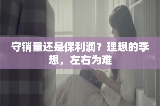 守销量还是保利润？理想的李想，左右为难