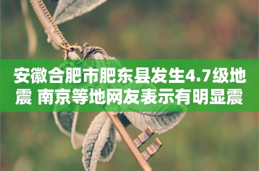 安徽合肥市肥东县发生4.7级地震 南京等地网友表示有明显震感