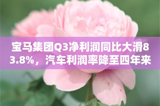 宝马集团Q3净利润同比大滑83.8%，汽车利润率降至四年来最低