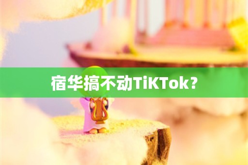 宿华搞不动TiKTok？