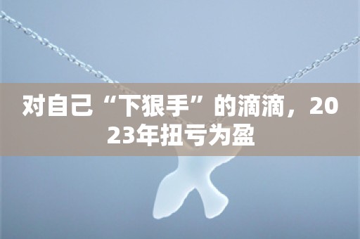 对自己“下狠手”的滴滴，2023年扭亏为盈