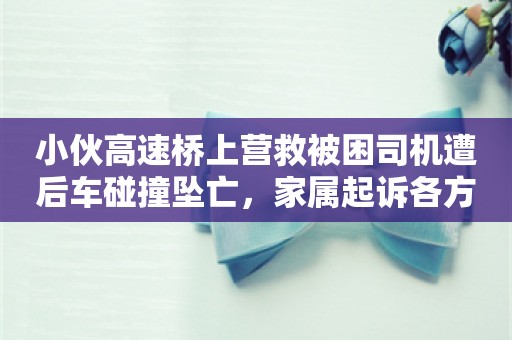 小伙高速桥上营救被困司机遭后车碰撞坠亡，家属起诉各方索赔200万元