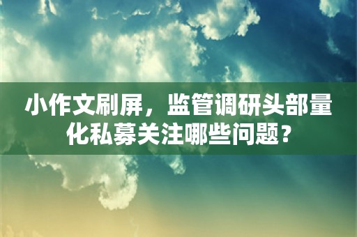 小作文刷屏，监管调研头部量化私募关注哪些问题？