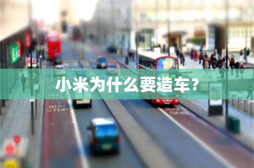 小米为什么要造车？