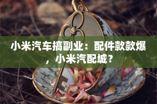 小米汽车搞副业：配件款款爆，小米汽配城？