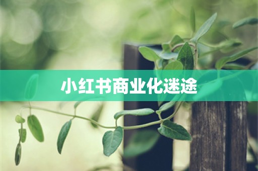 小红书商业化迷途