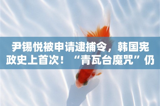 尹锡悦被申请逮捕令，韩国宪政史上首次！“青瓦台魔咒”仍在继续？文在寅不久前也遇上了大麻烦