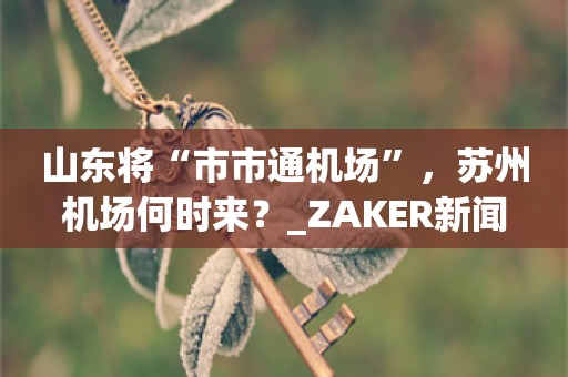 山东将“市市通机场”，苏州机场何时来？_ZAKER新闻