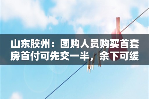 山东胶州：团购人员购买首套房首付可先交一半，余下可缓交1-2年